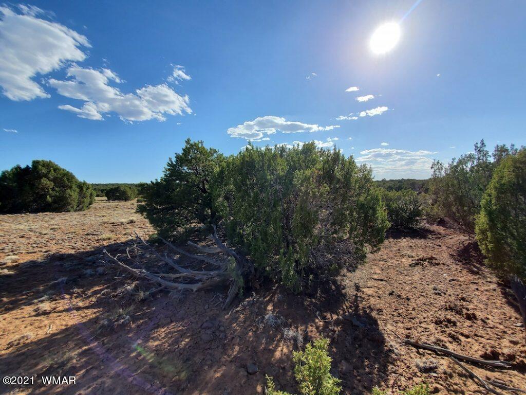 0 County Road Concho, AZ 85924 - Photo 19 of 25 a view of a yard with mountain