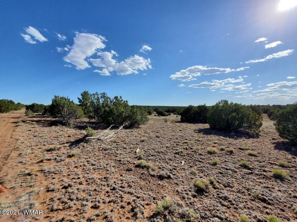 0 County Road Concho, AZ 85924 - Photo 20 of 25 a view of a sky view