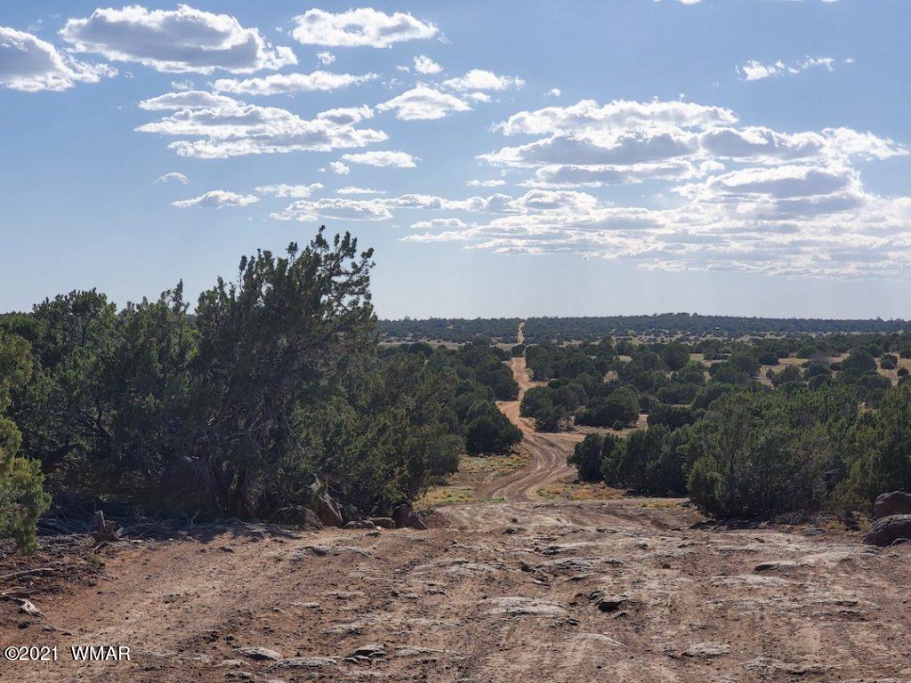 0 County Road Concho, AZ 85924 - Photo 2 of 25 a view of a dry yard with wooden fence