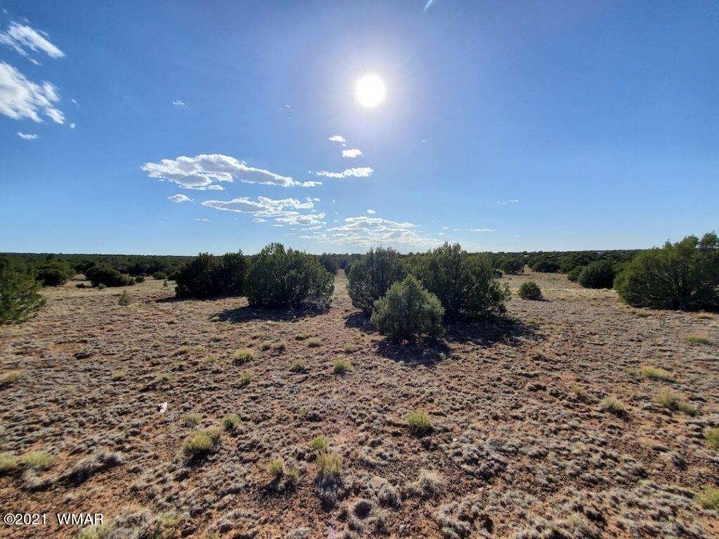 0 County Road Concho, AZ 85924 - Photo 21 of 25 a view of a dry yard