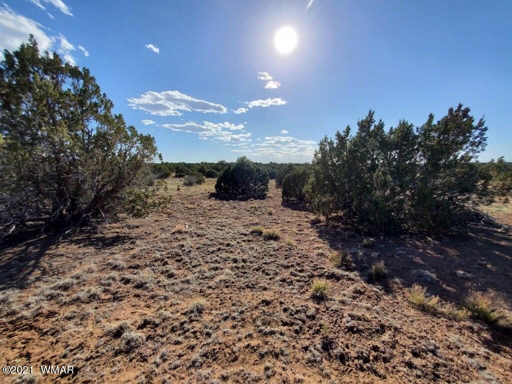 0 County Road Concho, AZ 85924 - Photo 22 of 25 a view of a yard with wooden fence