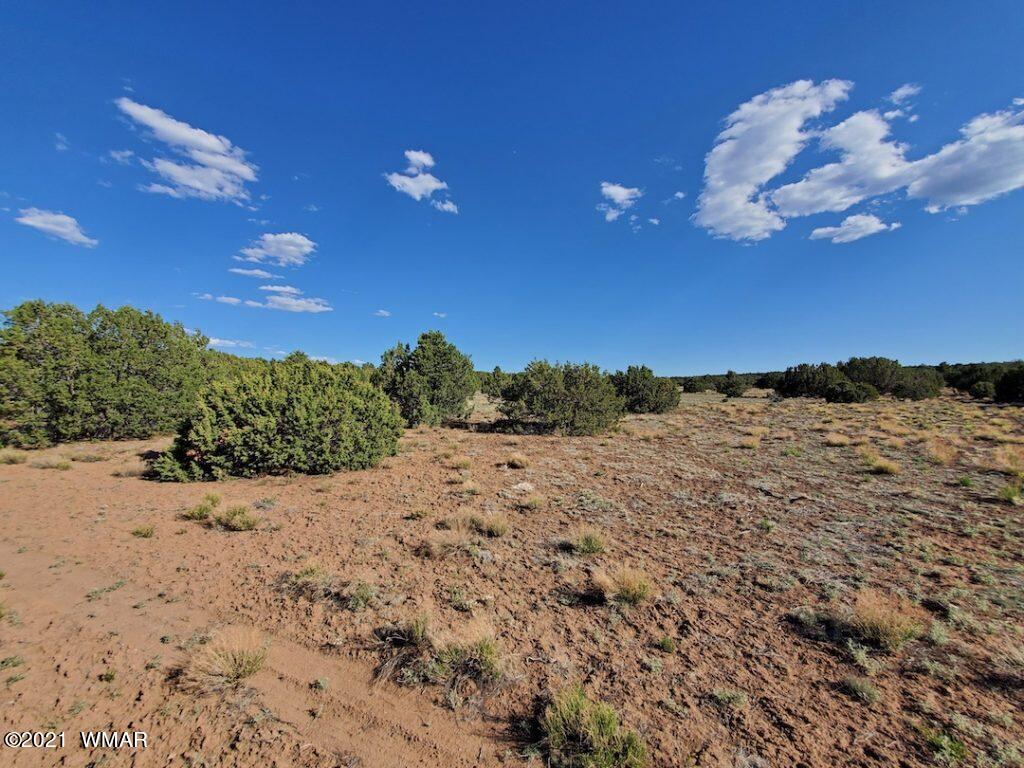 0 County Road Concho, AZ 85924 - Photo 24 of 25 a view of a sky view