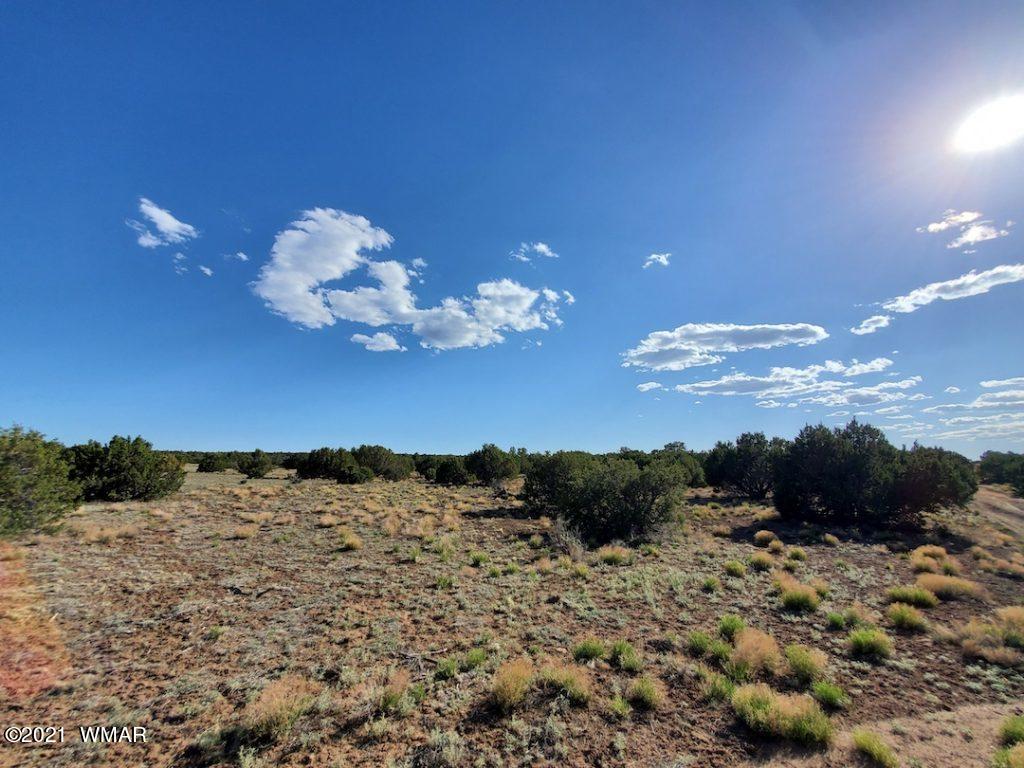 0 County Road Concho, AZ 85924 - Photo 25 of 25