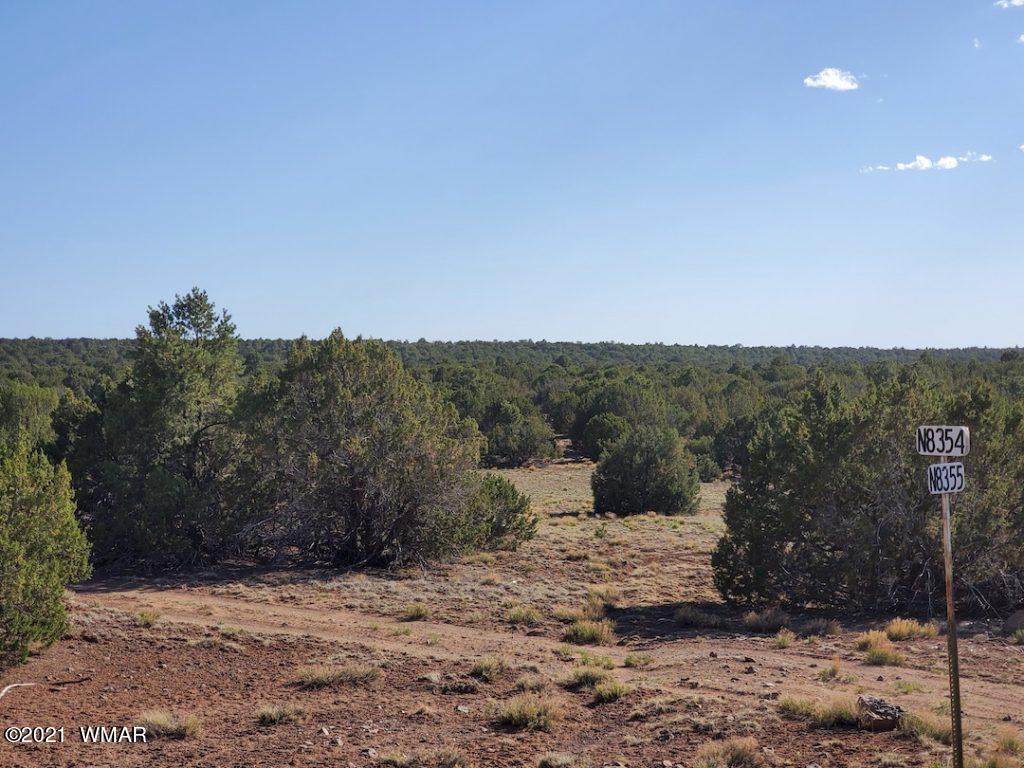 0 County Road Concho, AZ 85924 - Photo 3 of 25 a view of a dry yard with mountain