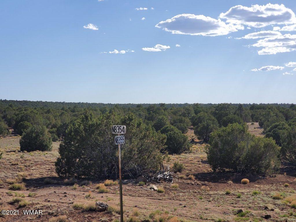 0 County Road Concho, AZ 85924 - Photo 4 of 25 a view of a road with a yard