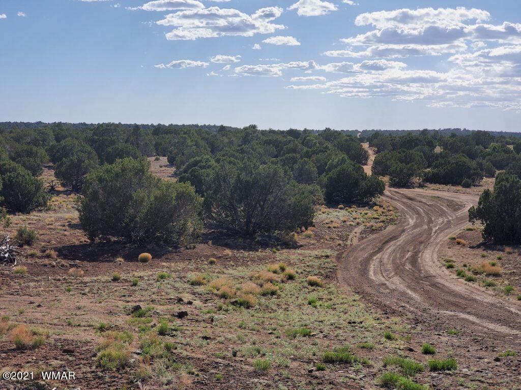 0 County Road Concho, AZ 85924 - Photo 5 of 25 a view of a backyard of a house