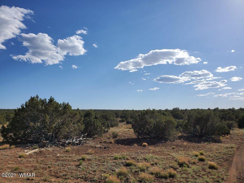 0 County Road Concho, AZ 85924 - Photo 8 of 25 a view of a dry yard
