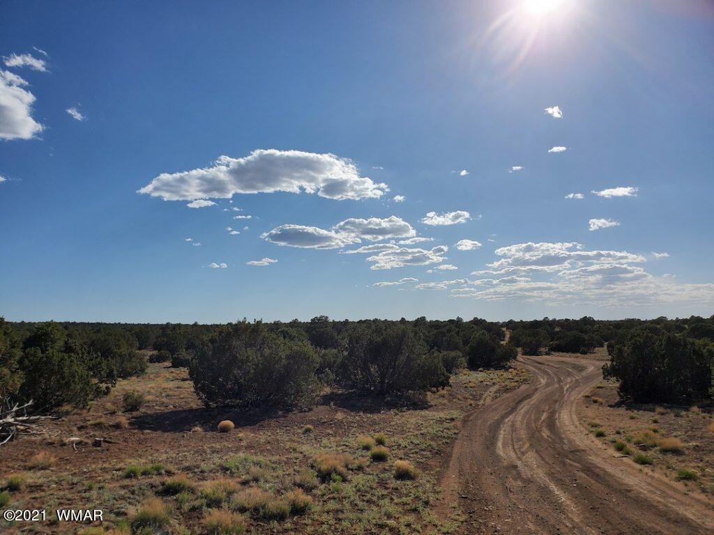 0 County Road Concho, AZ 85924 - Photo 9 of 25 a view of a dry yard