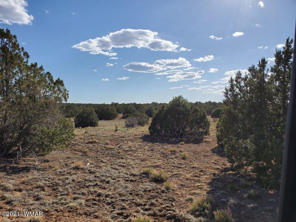 0 County Road Concho, AZ 85924 - Photo 10 of 25 a view of a dry yard