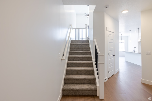 5224 South Acacia Drive, Unit 809 Mapleton, UT 84664 - Photo 4 of 23 Carpeted staircase with white risers and dark wood handrails