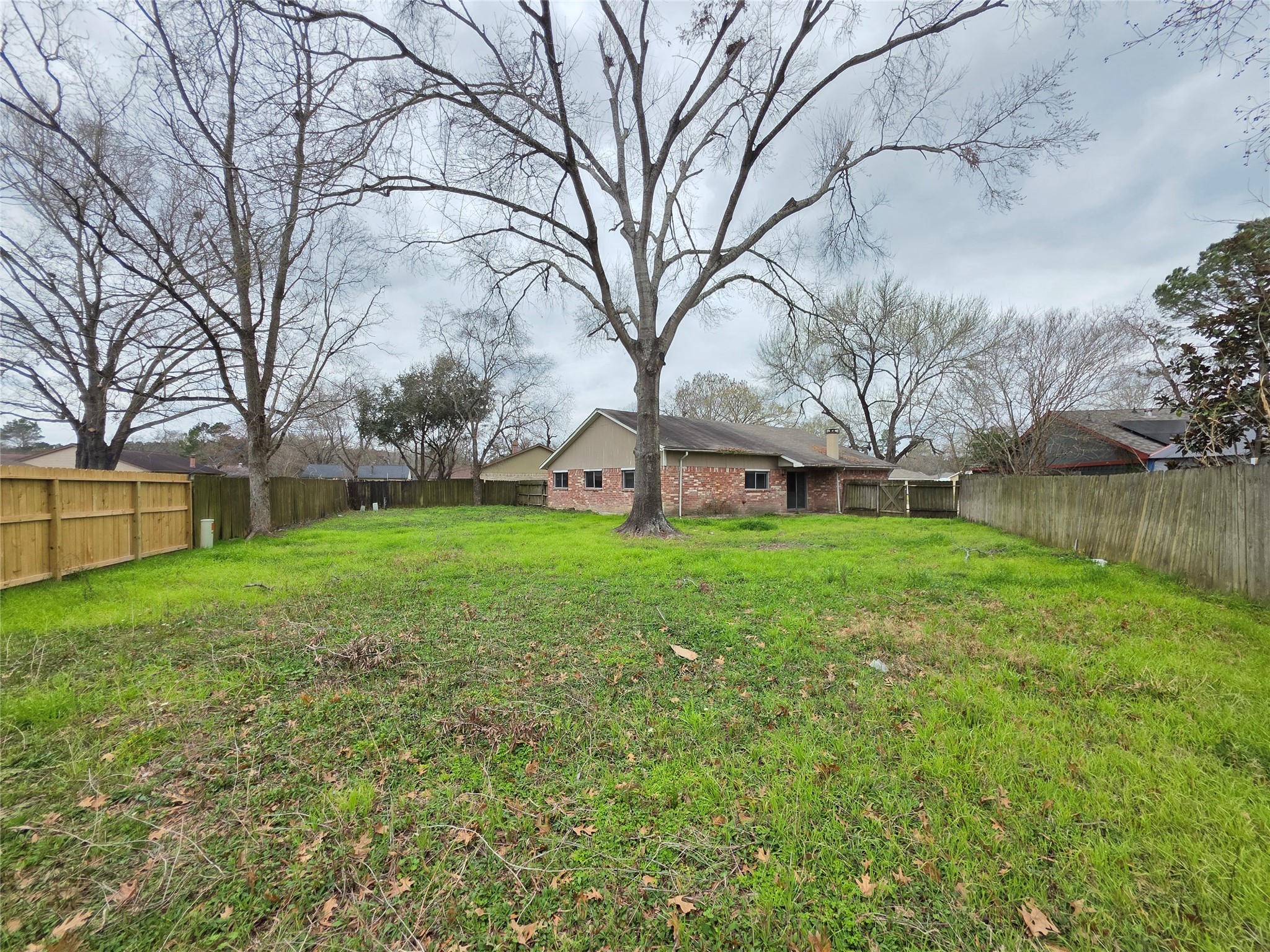 9814 Kiwi Lane Conroe, TX 77385 - Photo 12 of 13 a view of a house with a big yard and large trees