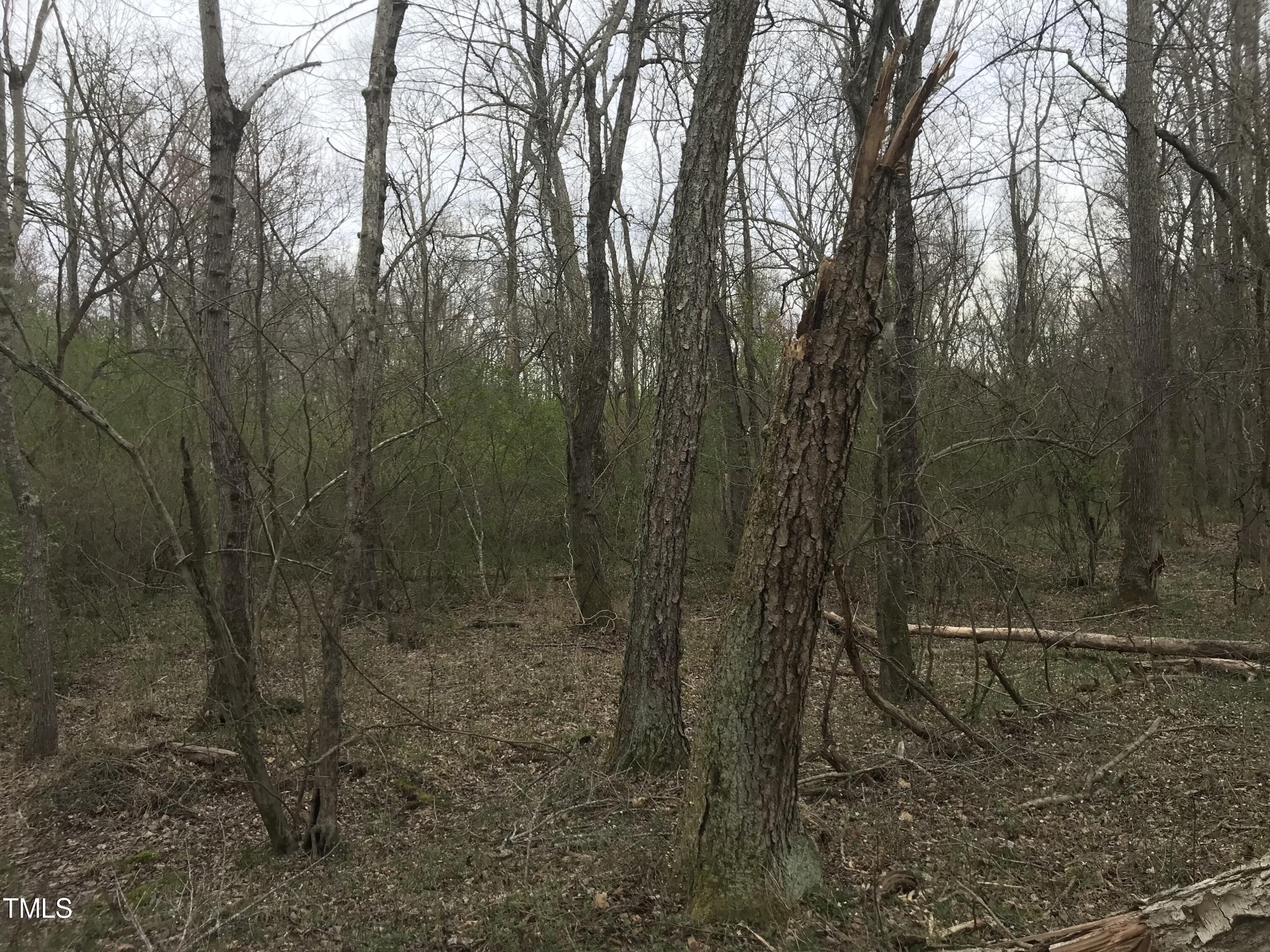 0 Fleming Graham Road Burlington, NC 27217 - Photo 12 of 25 image_50439681