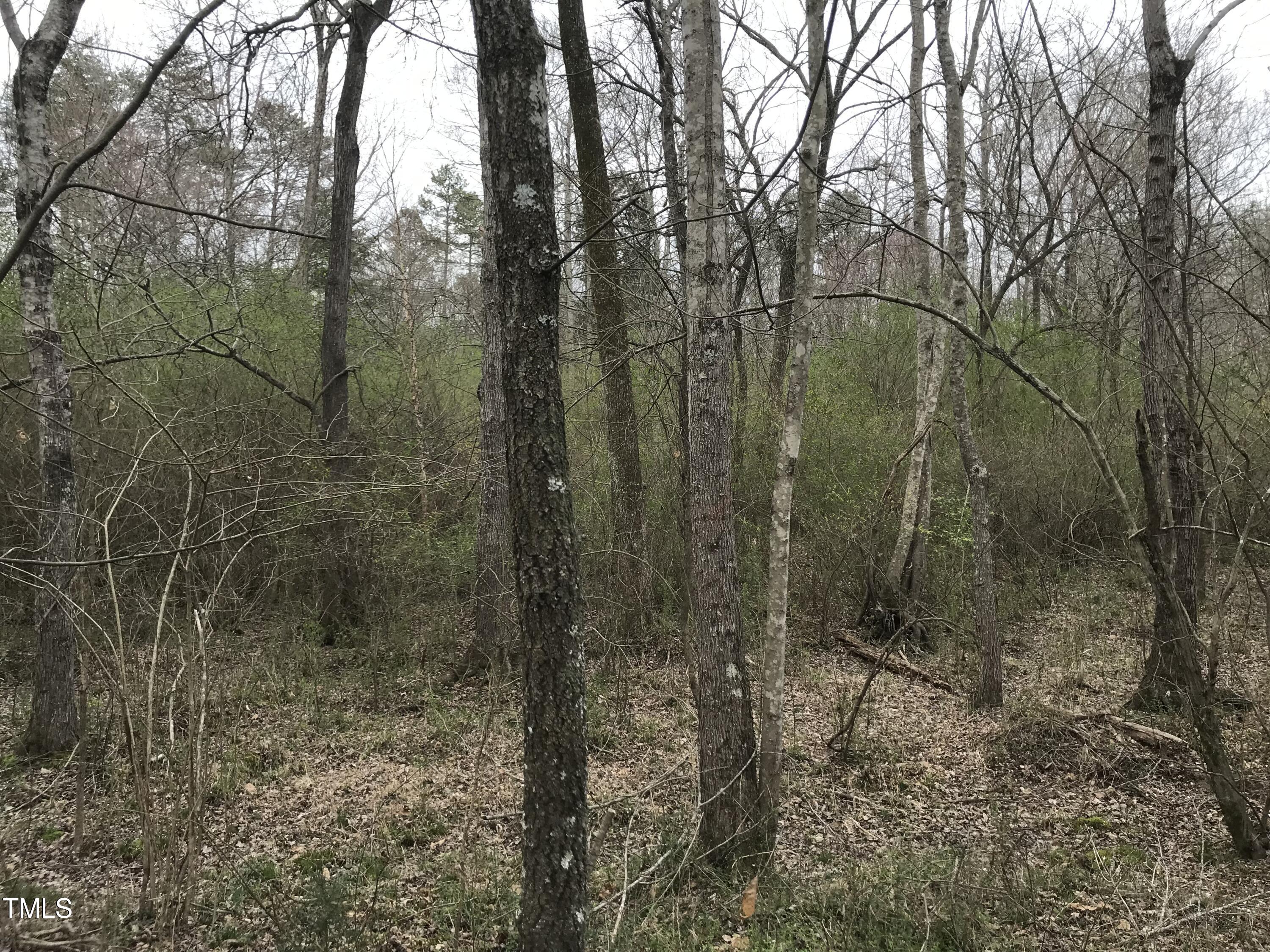 0 Fleming Graham Road Burlington, NC 27217 - Photo 13 of 25 image_50439937