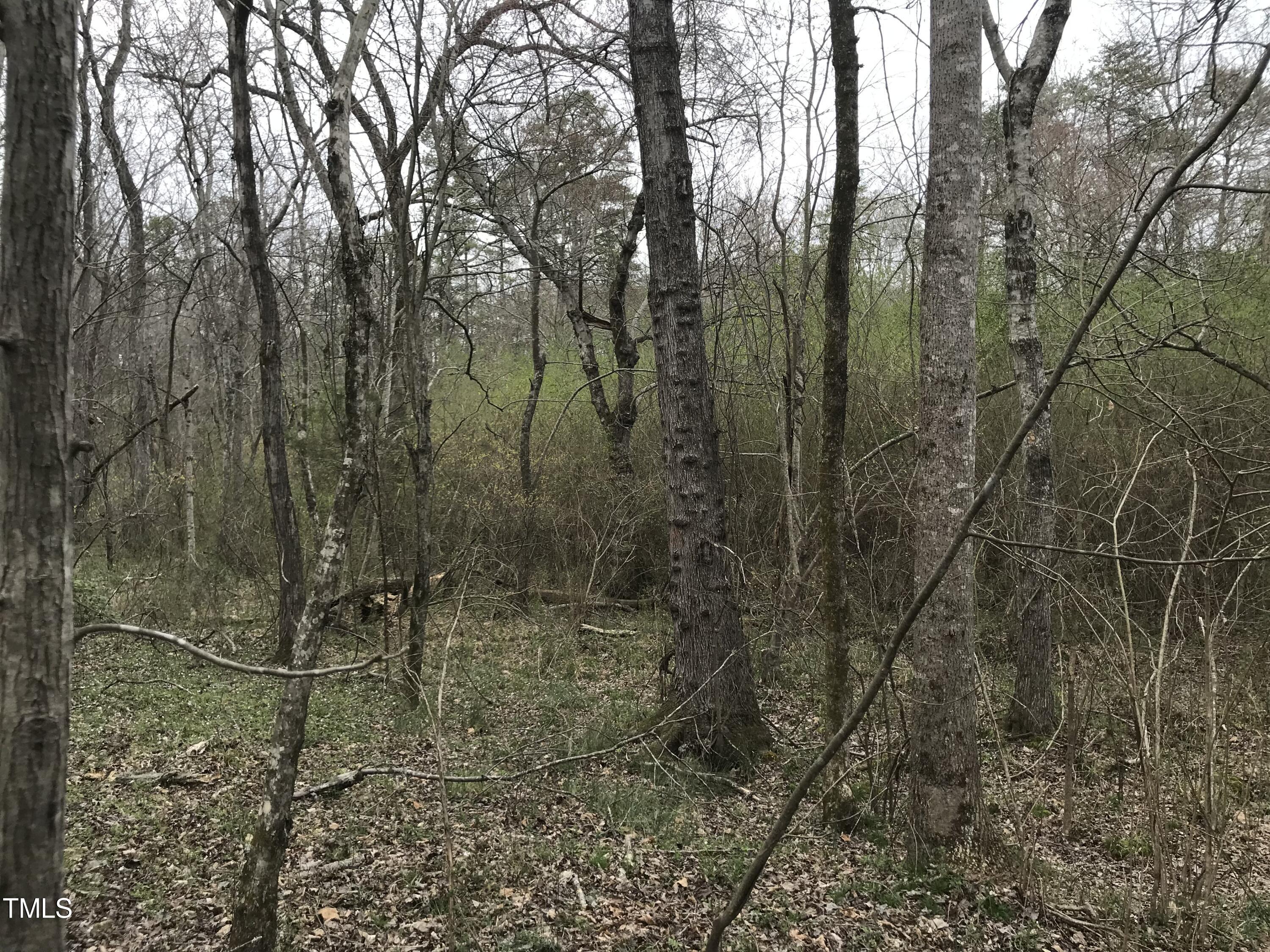 0 Fleming Graham Road Burlington, NC 27217 - Photo 14 of 25 image_50417153