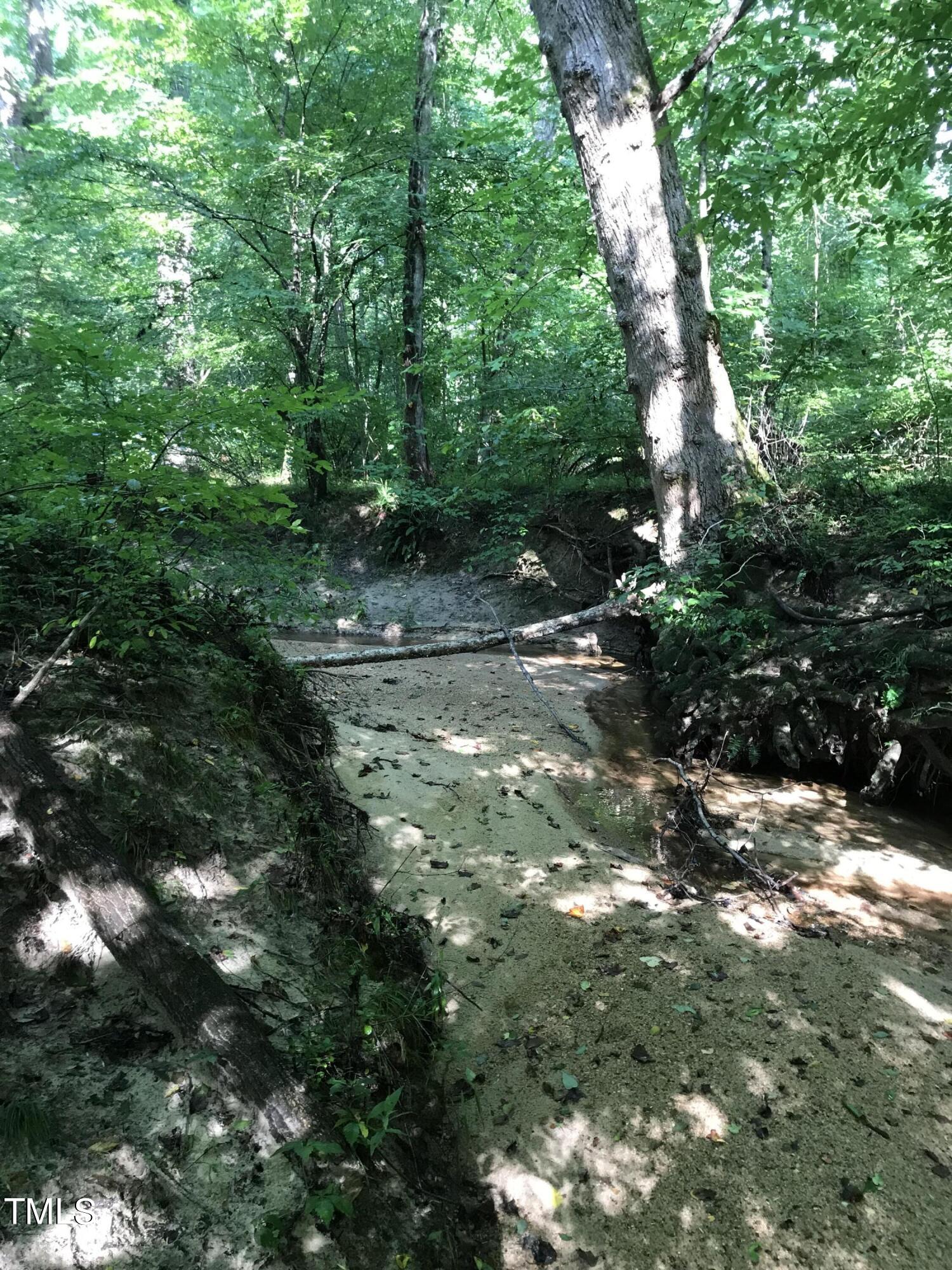 0 Fleming Graham Road Burlington, NC 27217 - Photo 18 of 25 image_67224321