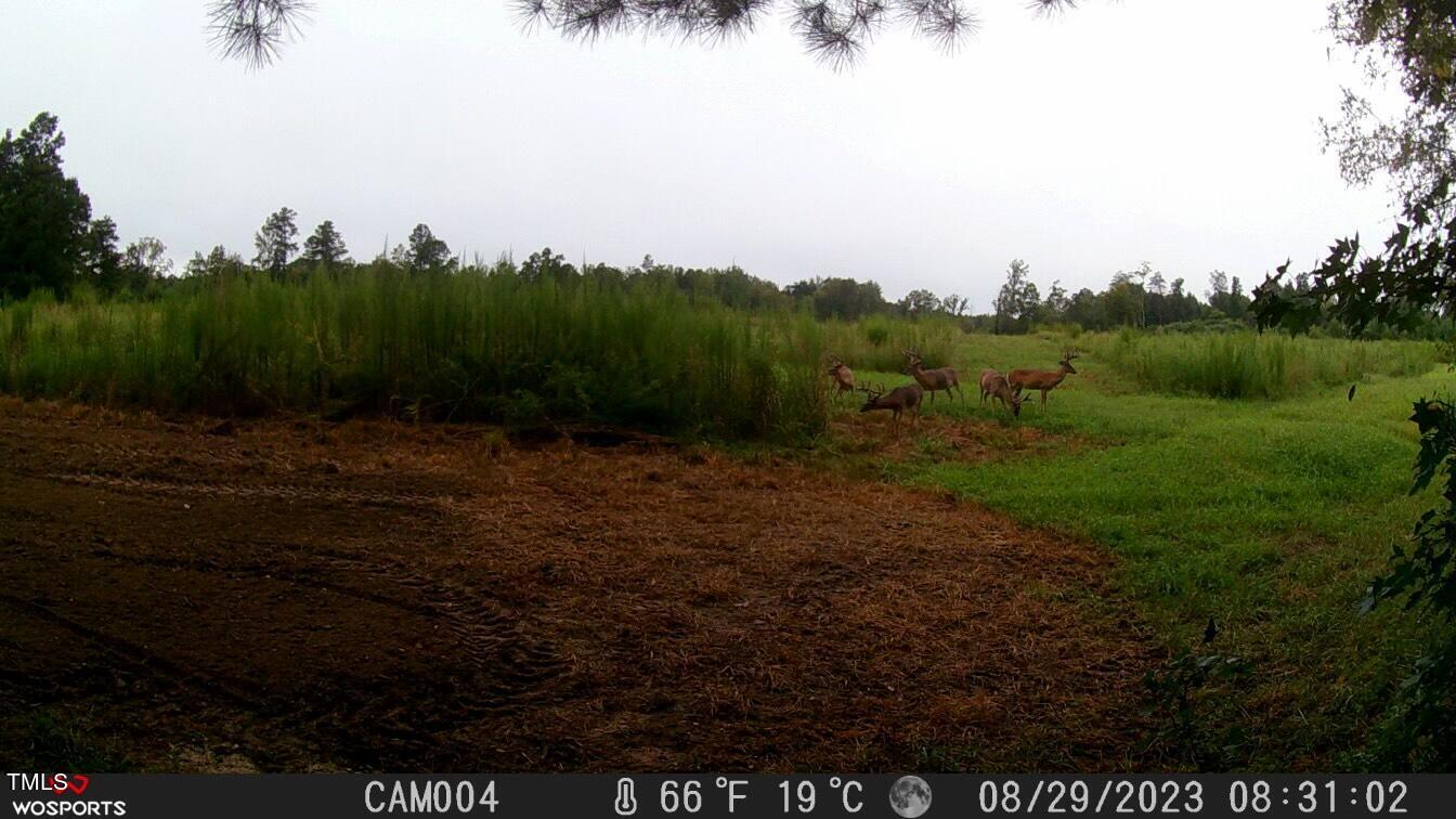 0 Fleming Graham Road Burlington, NC 27217 - Photo 20 of 25 image_50368257