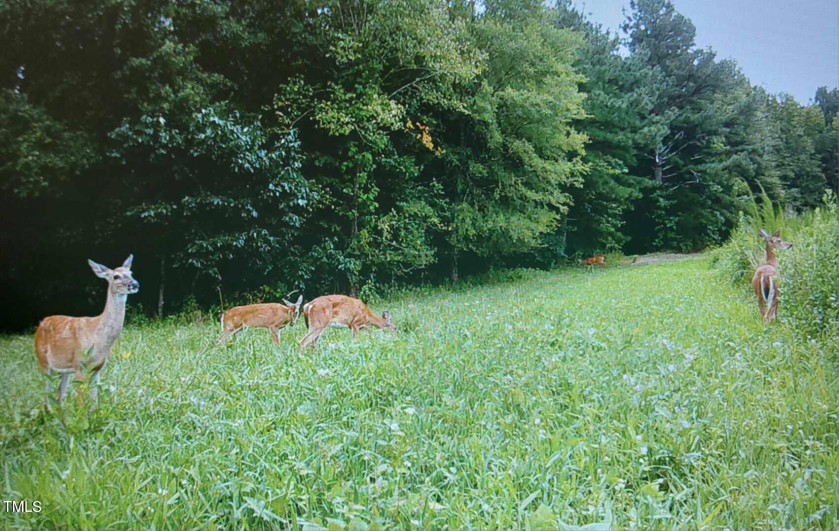 0 Fleming Graham Road Burlington, NC 27217 - Photo 21 of 25 image_50424065