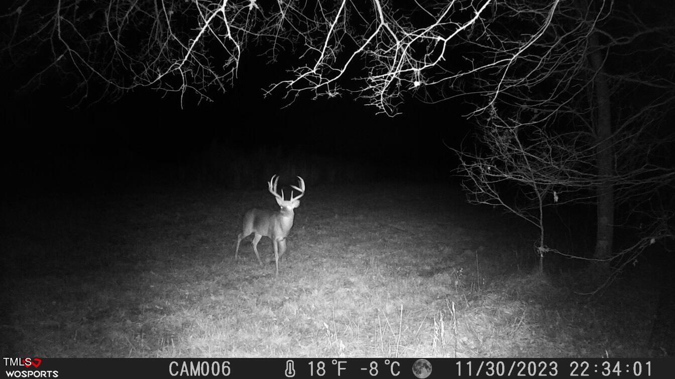 0 Fleming Graham Road Burlington, NC 27217 - Photo 22 of 25 image_50360577