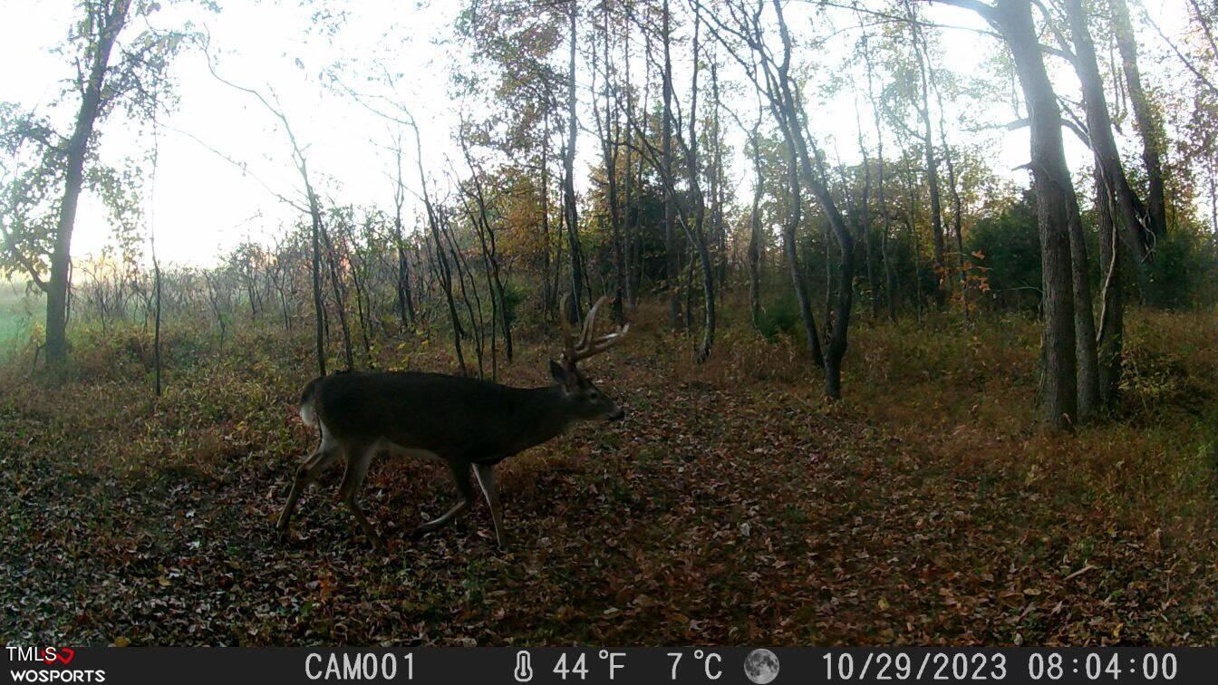0 Fleming Graham Road Burlington, NC 27217 - Photo 23 of 25 image_50364929