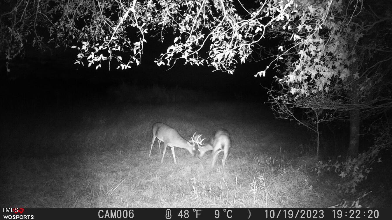 0 Fleming Graham Road Burlington, NC 27217 - Photo 24 of 25 image_50375169