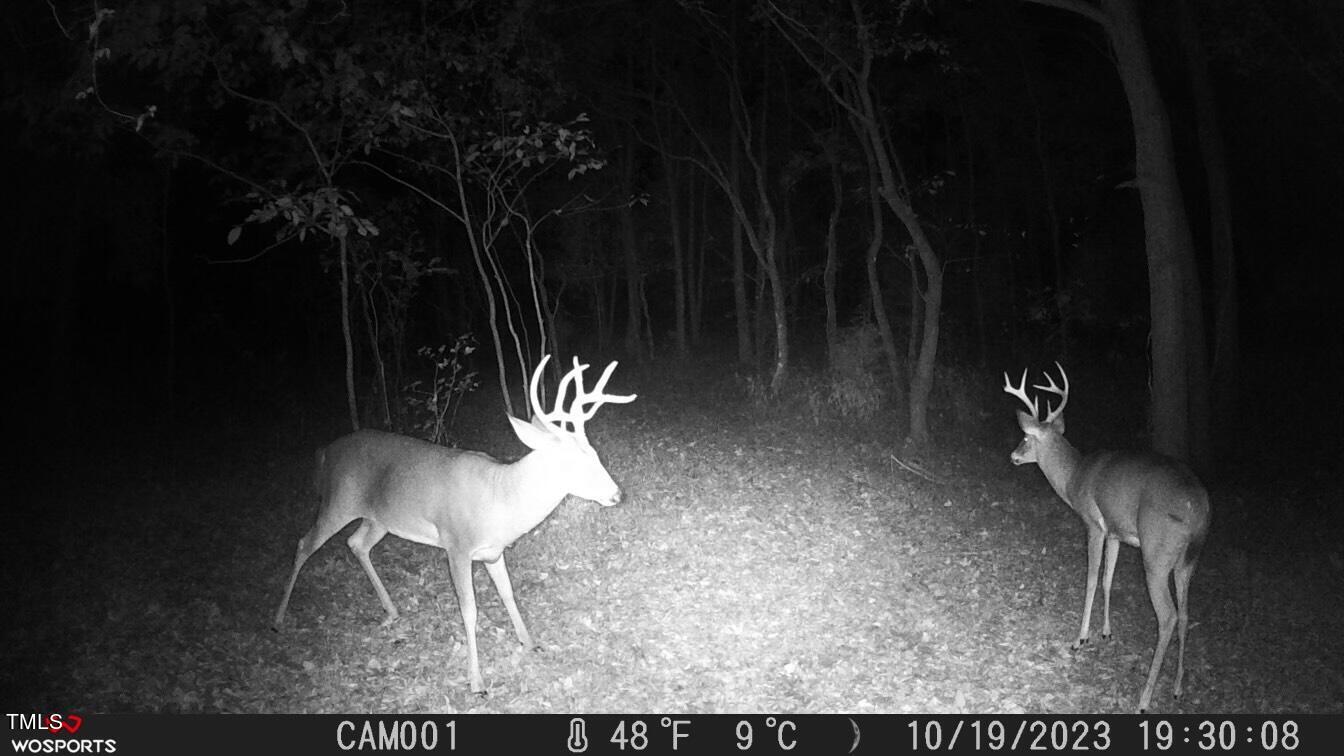 0 Fleming Graham Road Burlington, NC 27217 - Photo 25 of 25 image_50333441