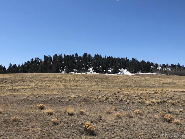 4727 Elkhorn Road Hartsel, CO 80449 - Photo 6 of 27 a view of lake and mountain view