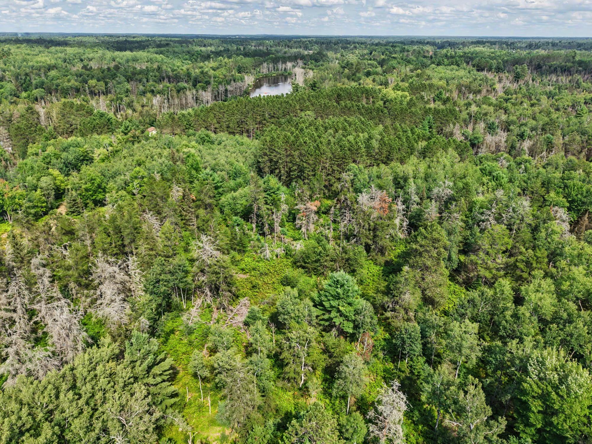 On River Road, Unit 25ACRES Eagle River, WI 54521 - Photo 10 of 14 Gallery Image 10