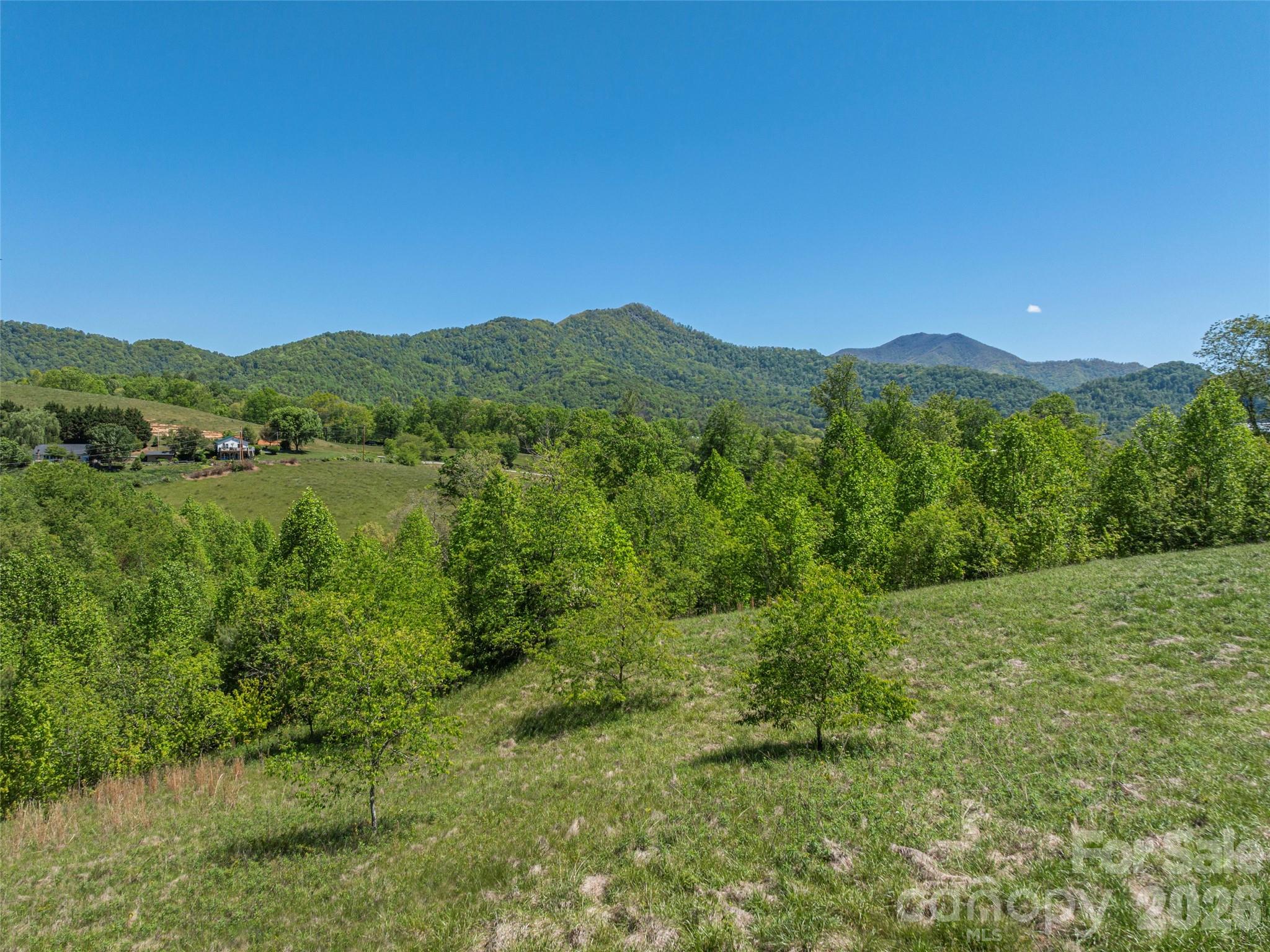 0 Inheritance Mountain Road Waynesville, NC 28785 - Photo 9 of 20