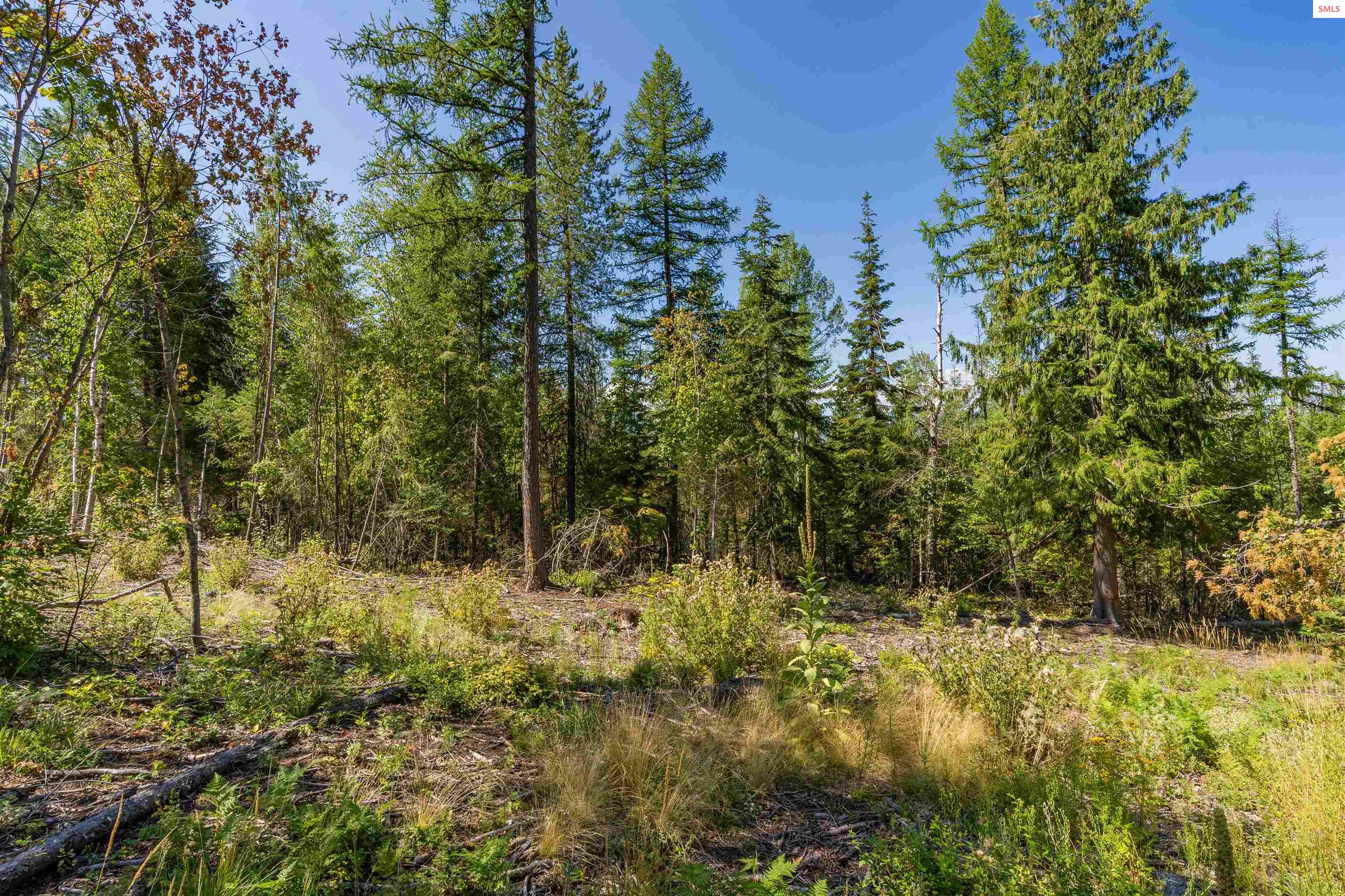 Nna Diamond Road Bonners Ferry, ID 83805 - Photo 19 of 36