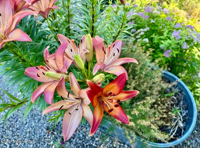 $250,000 | 124 West Idaho Avenue, Kellogg, ID 83837