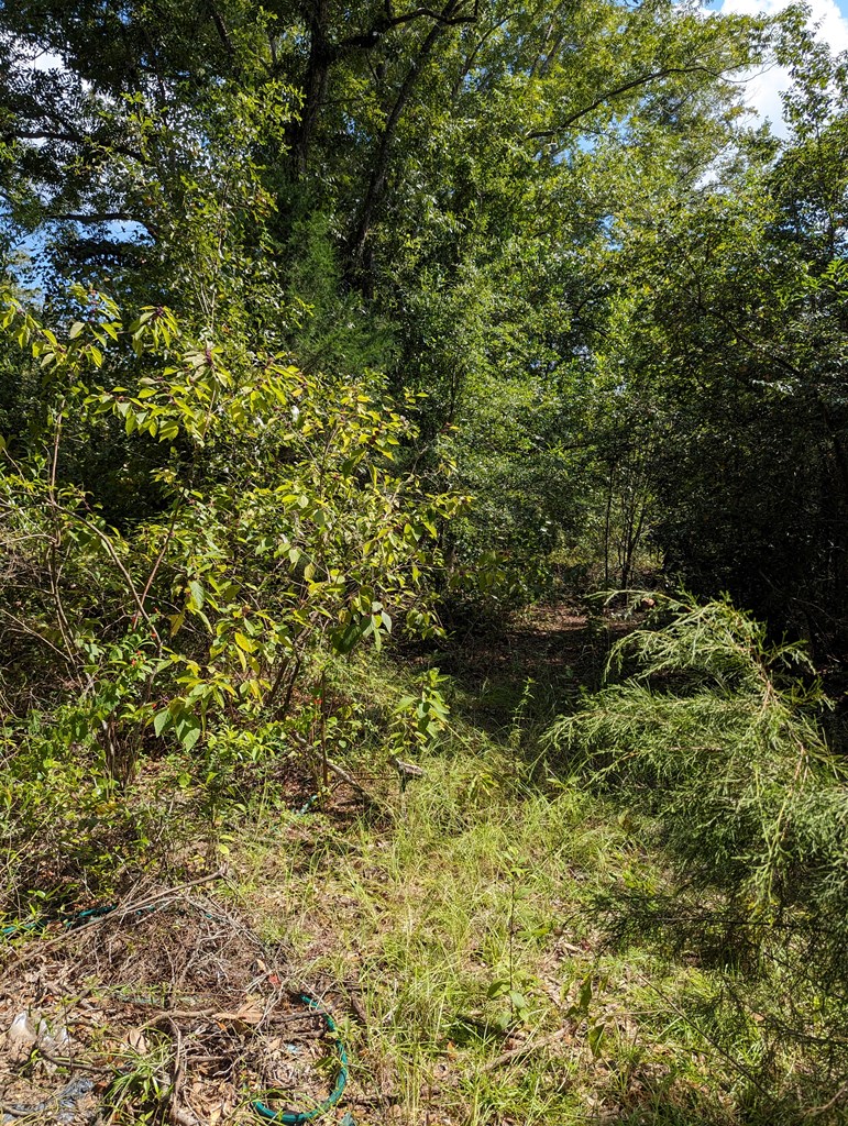 382 Friendship Road Gordon, AL 36343 - Photo 7 of 9