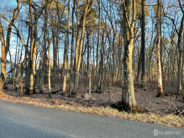 a backyard of a house with lots of trees
