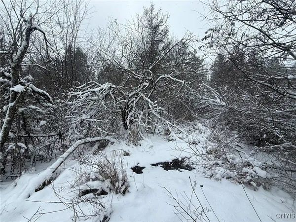 $29,900 | Eddy Road, Theresa, NY 13691