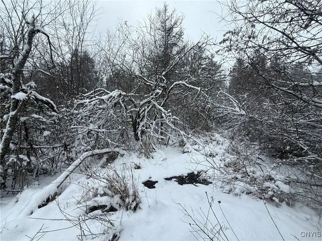 $29,900 | Eddy Road, Theresa, NY 13691