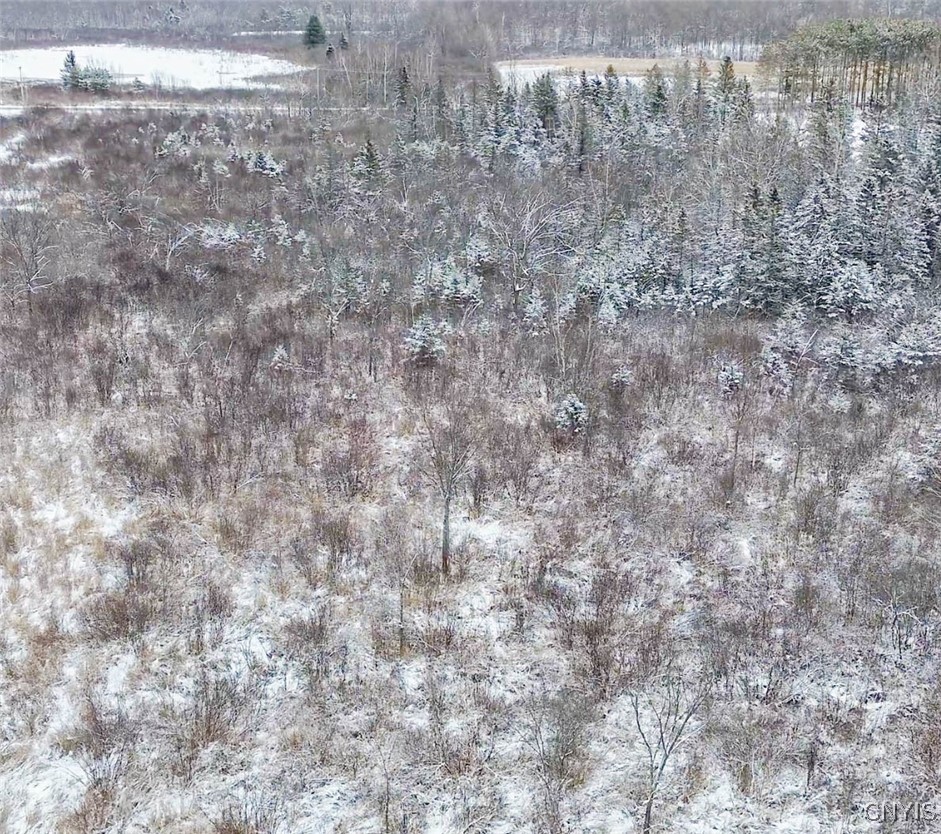 Eddy Road Theresa, NY 13691 - Photo 11 of 35