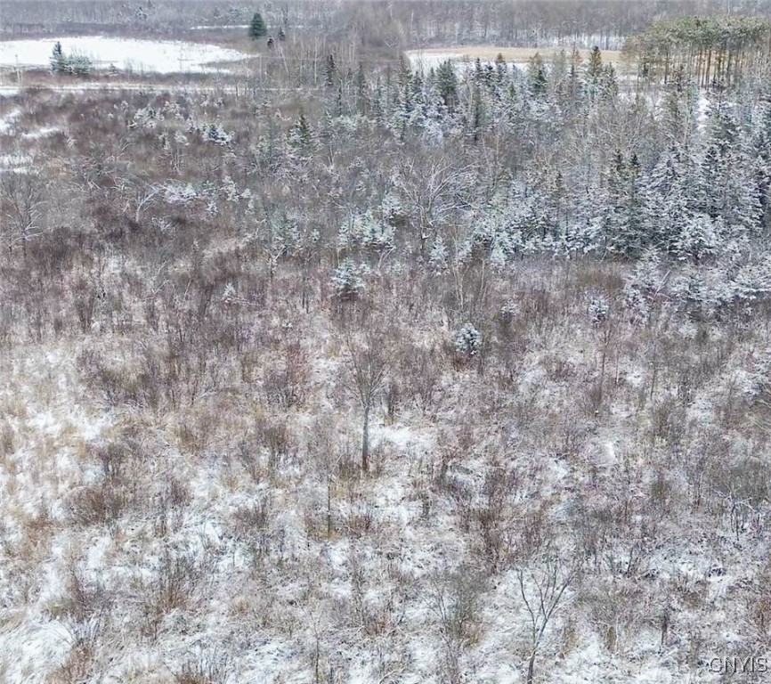 Eddy Road Theresa, NY 13691 - Photo 11 of 35