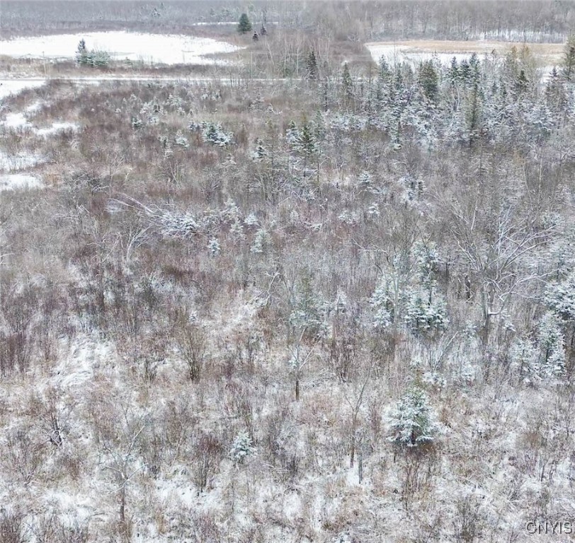 Eddy Road Theresa, NY 13691 - Photo 12 of 35