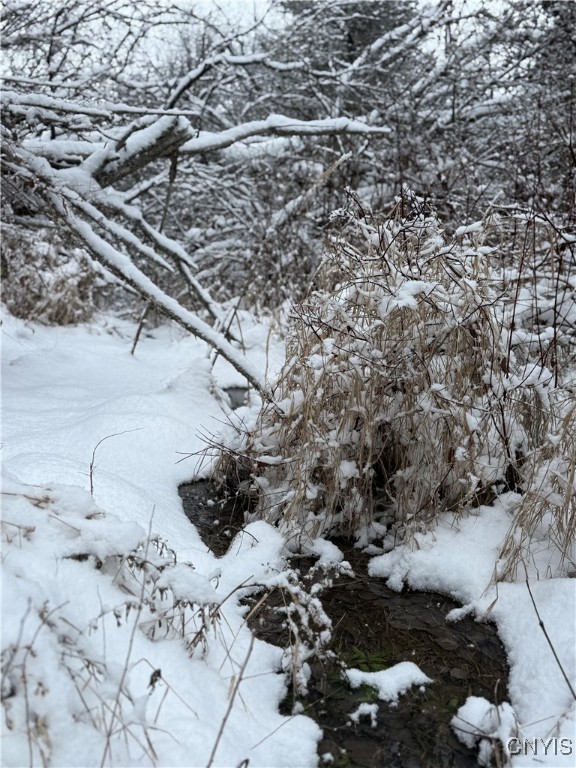 Eddy Road Theresa, NY 13691 - Photo 13 of 35