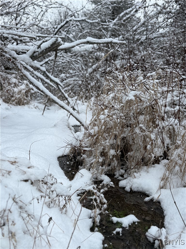 Eddy Road Theresa, NY 13691 - Photo 13 of 35