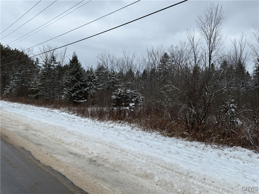 Eddy Road Theresa, NY 13691 - Photo 14 of 35