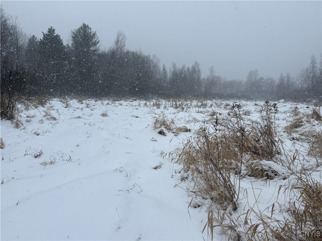 Eddy Road Theresa, NY 13691 - Photo 15 of 35