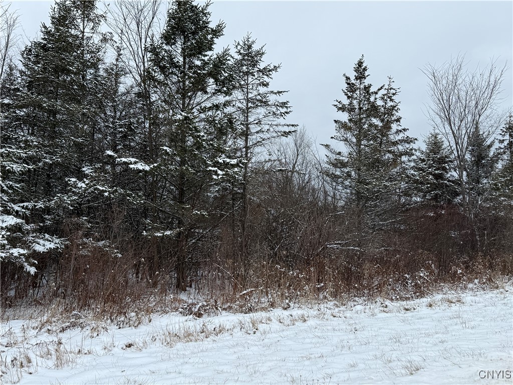 Eddy Road Theresa, NY 13691 - Photo 16 of 35