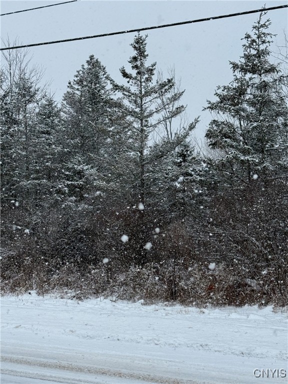 Eddy Road Theresa, NY 13691 - Photo 18 of 35