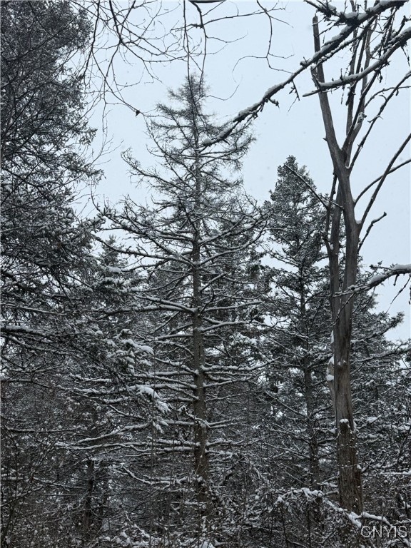 Eddy Road Theresa, NY 13691 - Photo 19 of 35