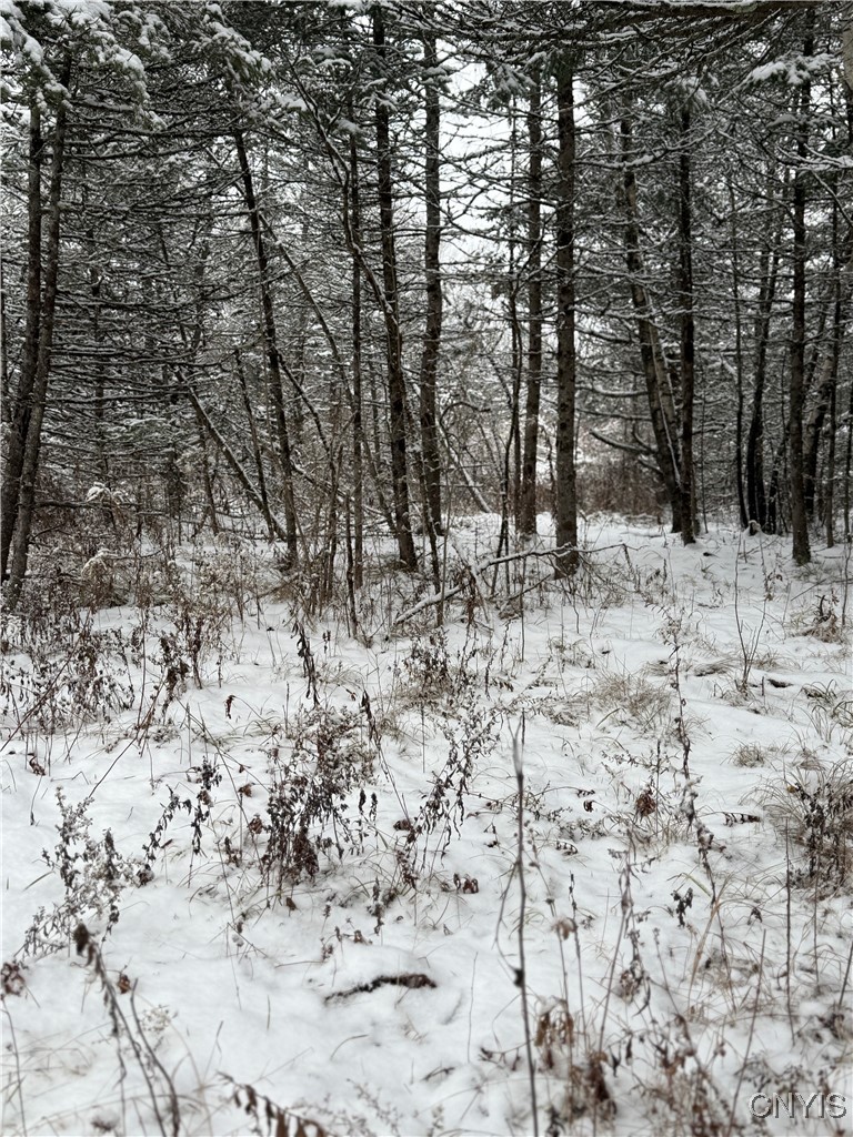 Eddy Road Theresa, NY 13691 - Photo 20 of 35