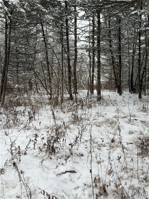 Eddy Road Theresa, NY 13691 - Photo 20 of 35