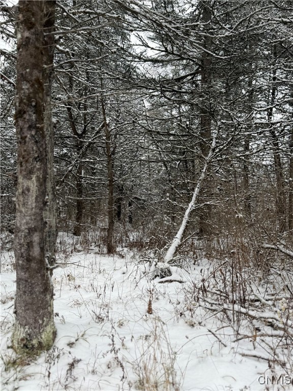 Eddy Road Theresa, NY 13691 - Photo 21 of 35