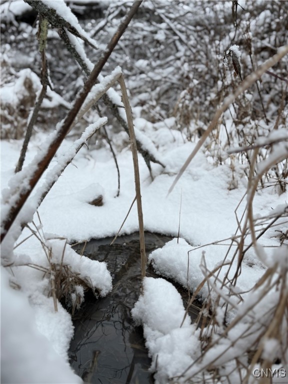 Eddy Road Theresa, NY 13691 - Photo 22 of 35