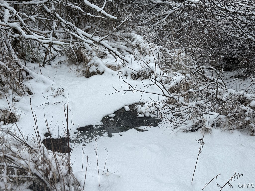 Eddy Road Theresa, NY 13691 - Photo 23 of 35