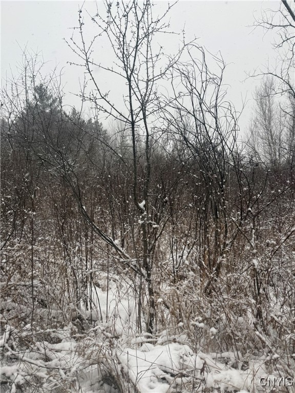 Eddy Road Theresa, NY 13691 - Photo 25 of 35